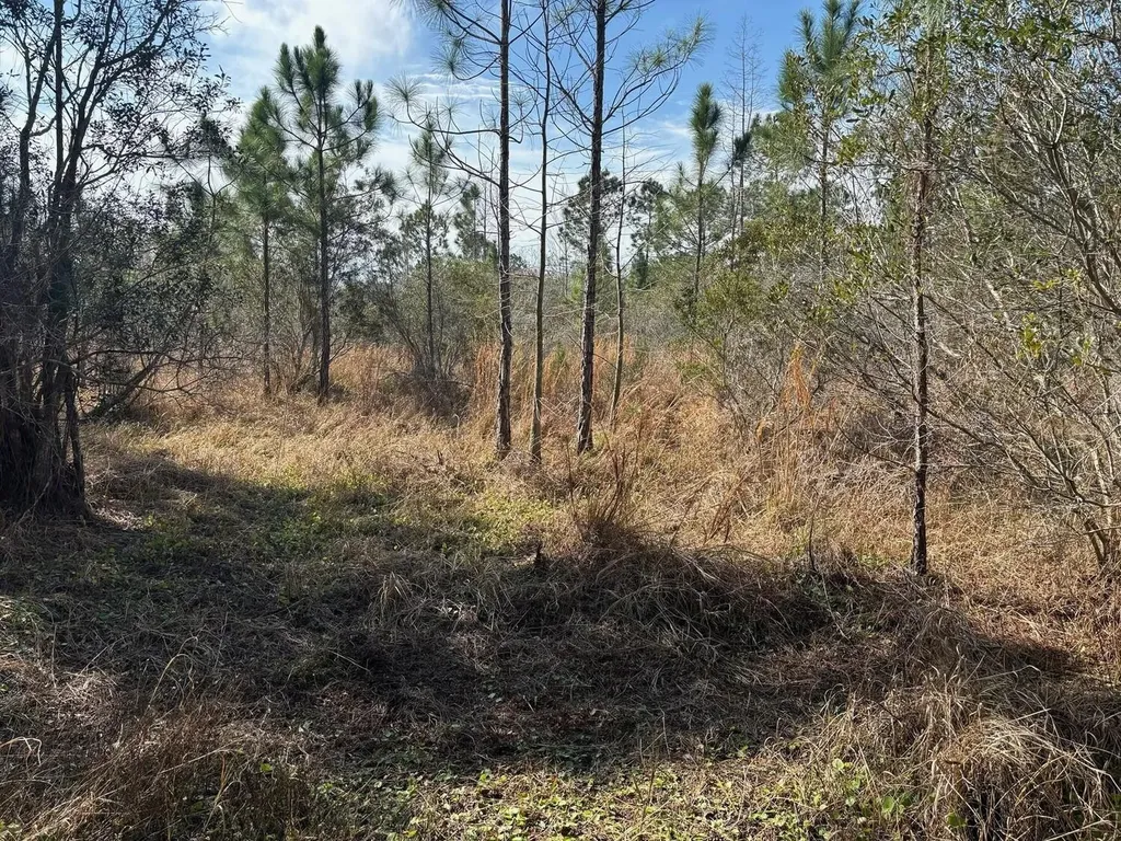 0 Old Grade Road Polk City FL 33868