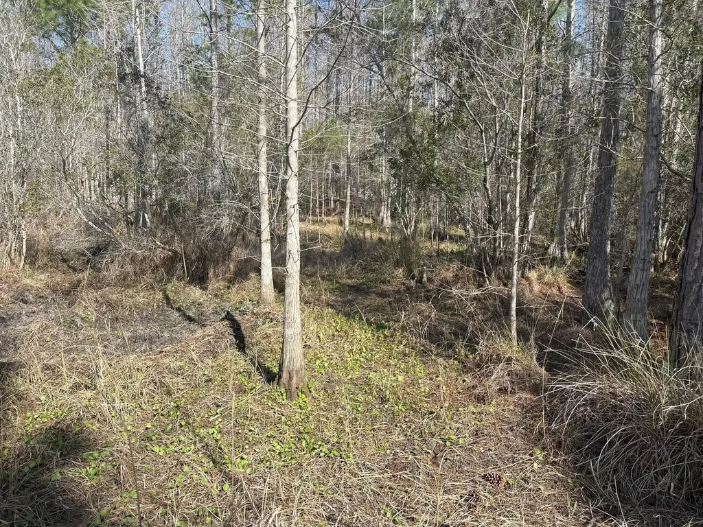0 Old Grade Road Polk City FL 33868