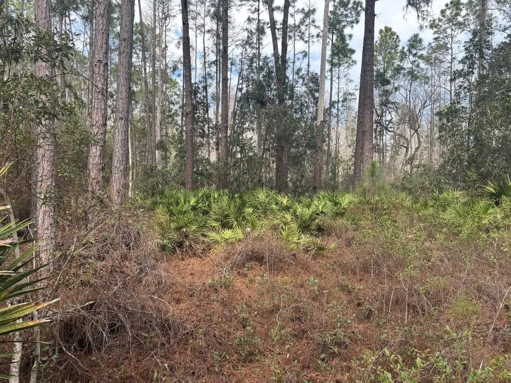 0 Old Grade Road Polk City FL 33868