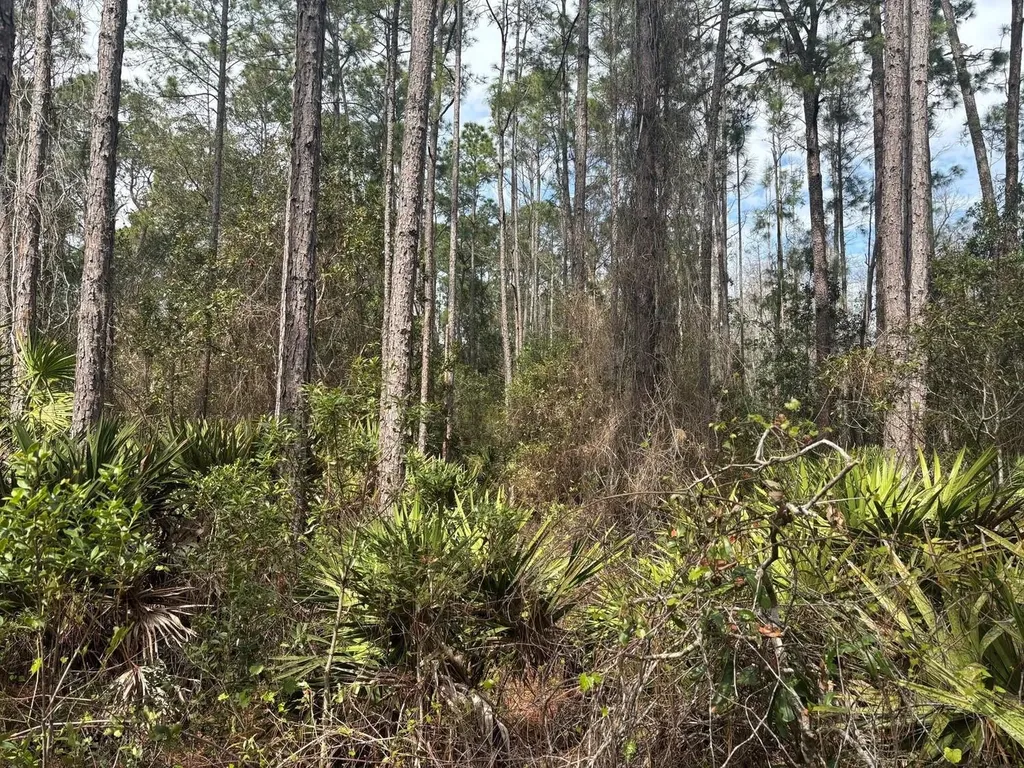0 Old Grade Road Polk City FL 33868