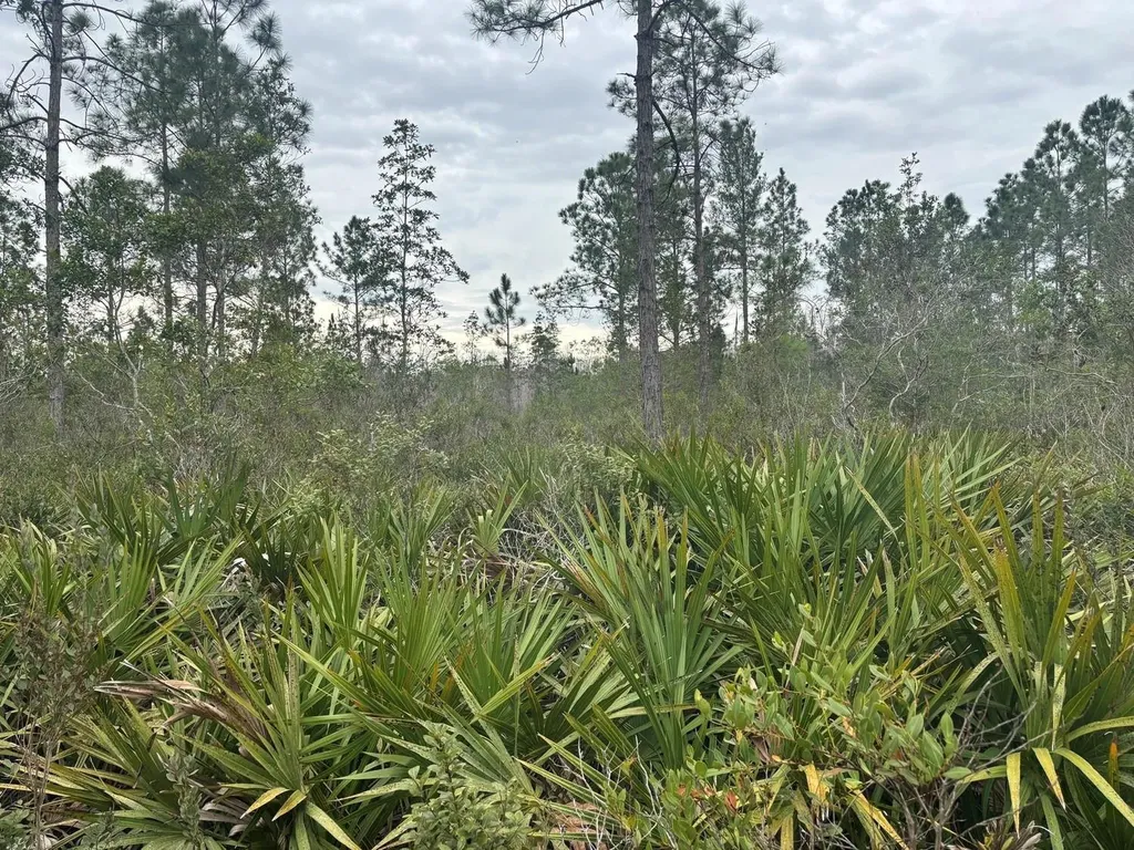 0 Old Grade Road Polk City FL 33868
