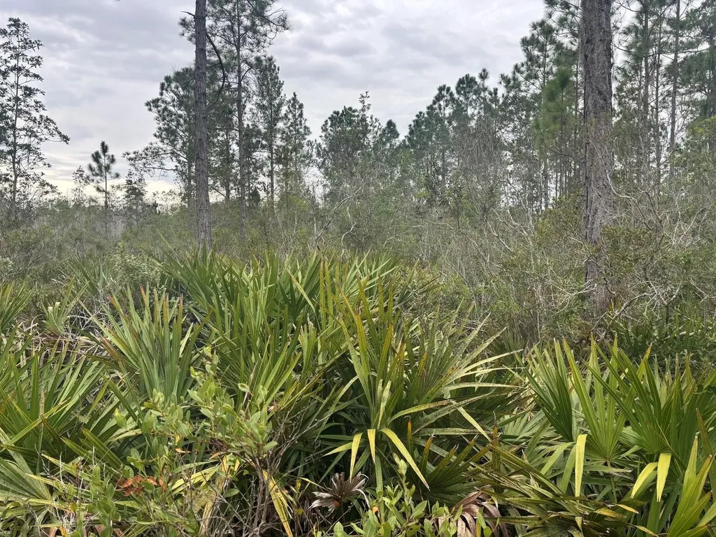 0 Old Grade Road Polk City FL 33868