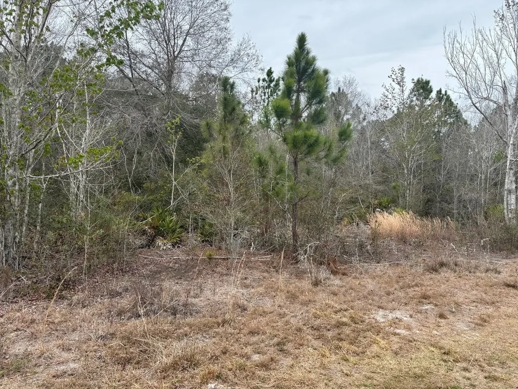 0 Old Grade Road Polk City FL 33868