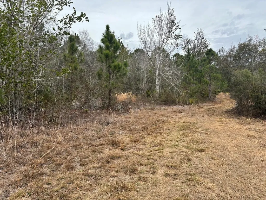0 Old Grade Road Polk City FL 33868