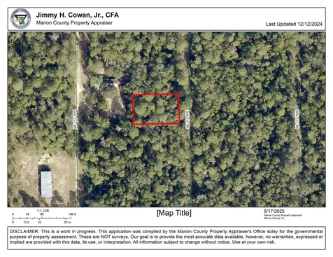 00 NE 113 Avenue Fort Mccoy FL 32134