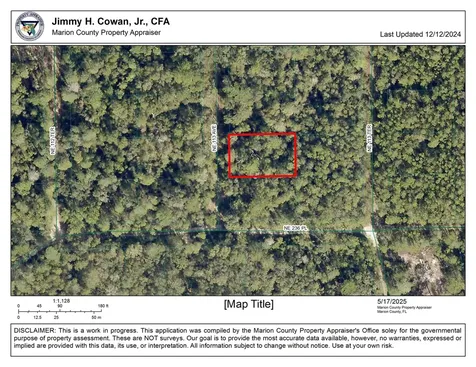 00 NE 113 Avenue Fort Mccoy FL 32134