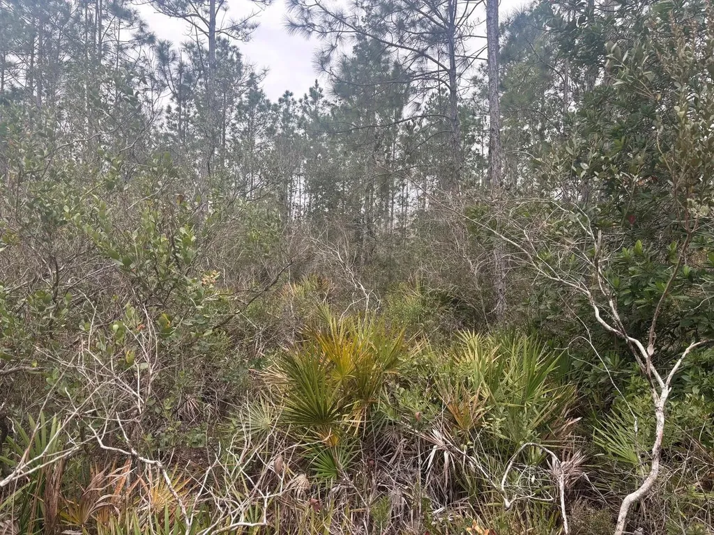 0 Old Grade Road Polk City FL 33868