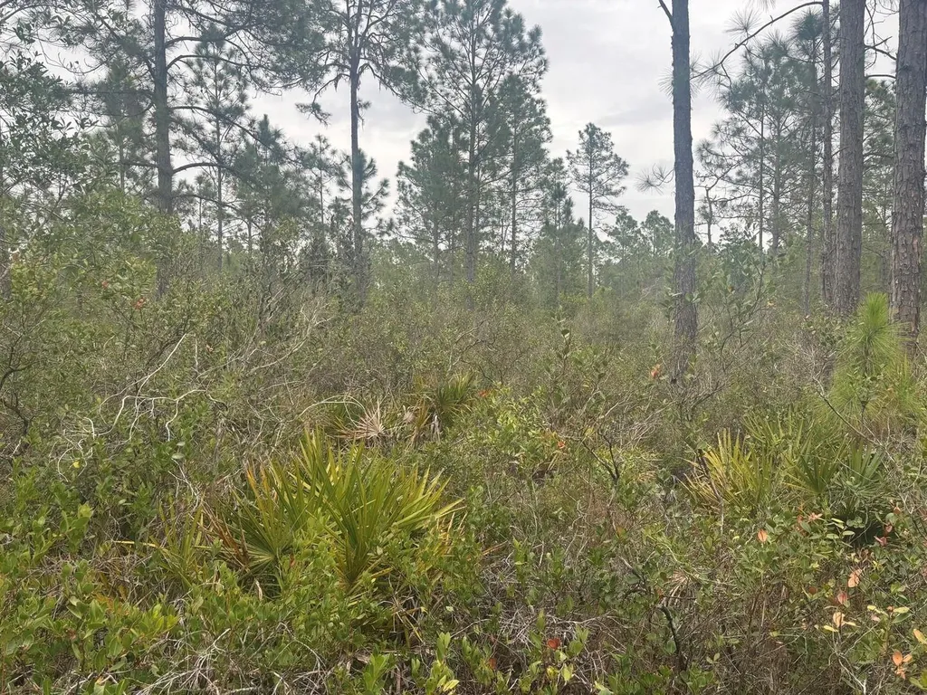 0 Old Grade Road Polk City FL 33868