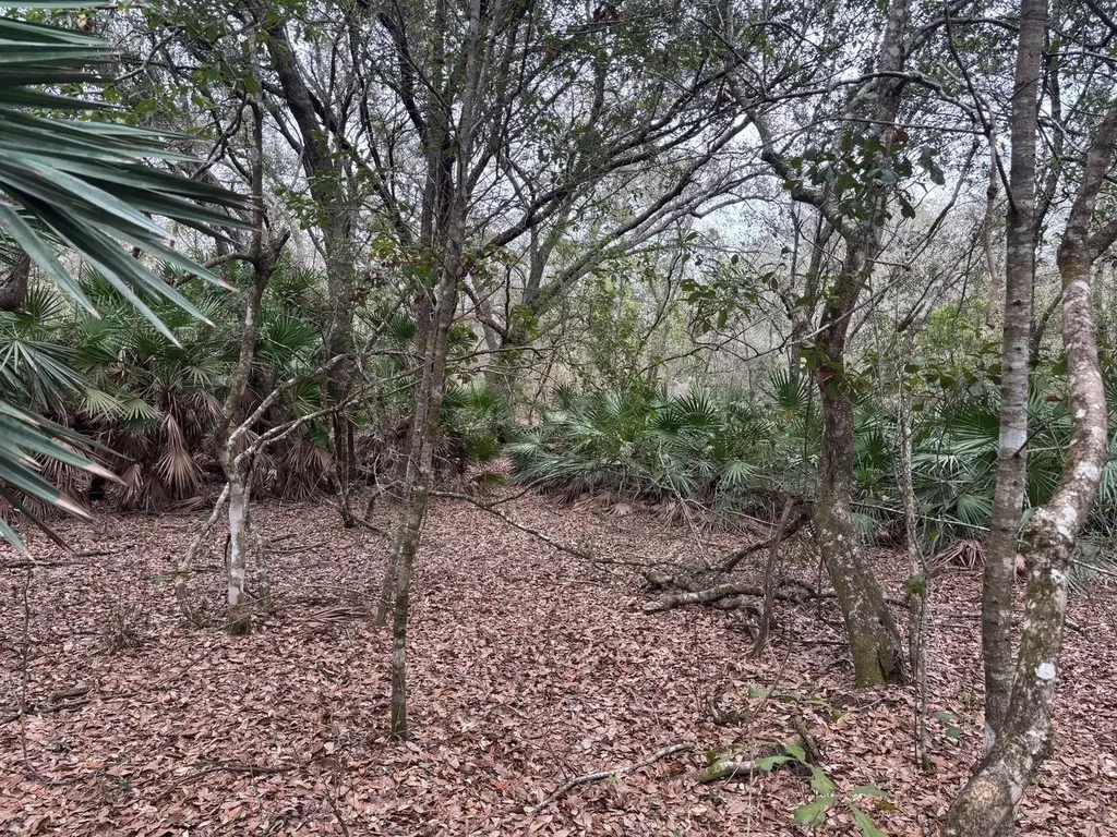 0 Old Grade Road Polk City FL 33868