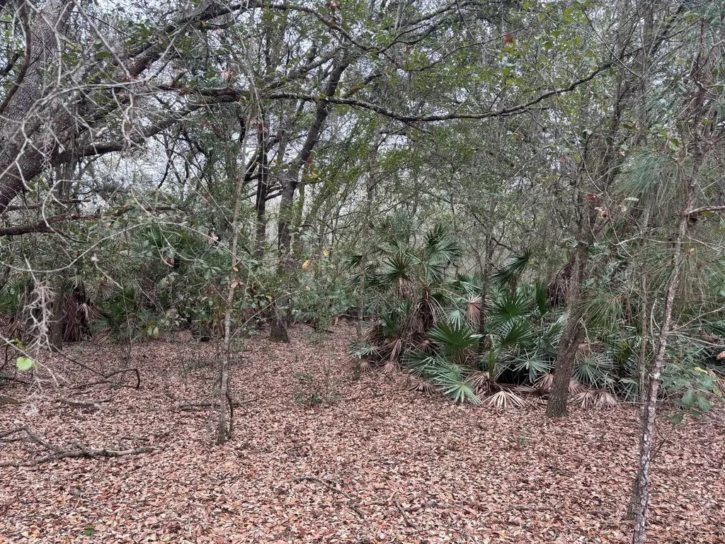 0 Old Grade Road Polk City FL 33868