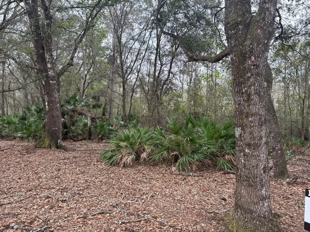 0 Old Grade Road Polk City FL 33868