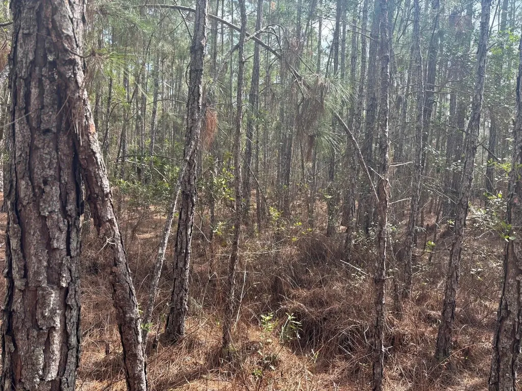 0 Old Grade Road Polk City FL 33868