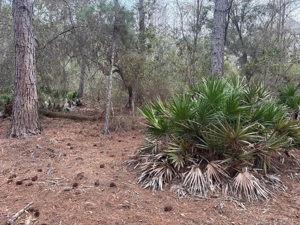 0 Old Grade Road Polk City FL 33868