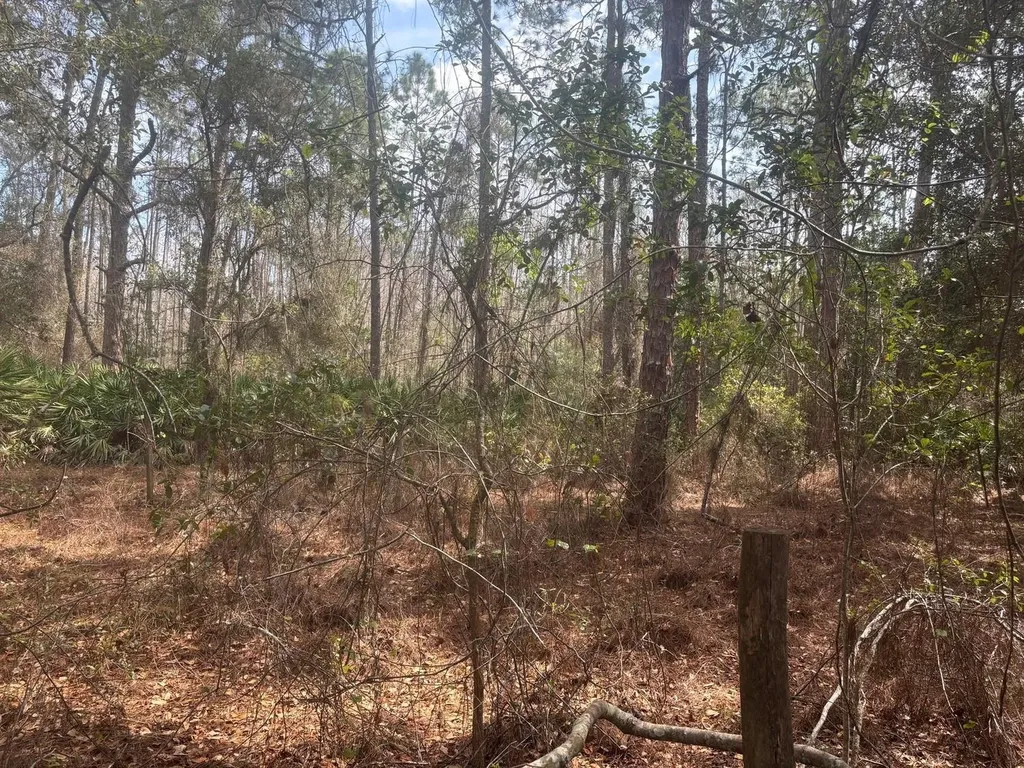 0 Old Grade Road Polk City FL 33868