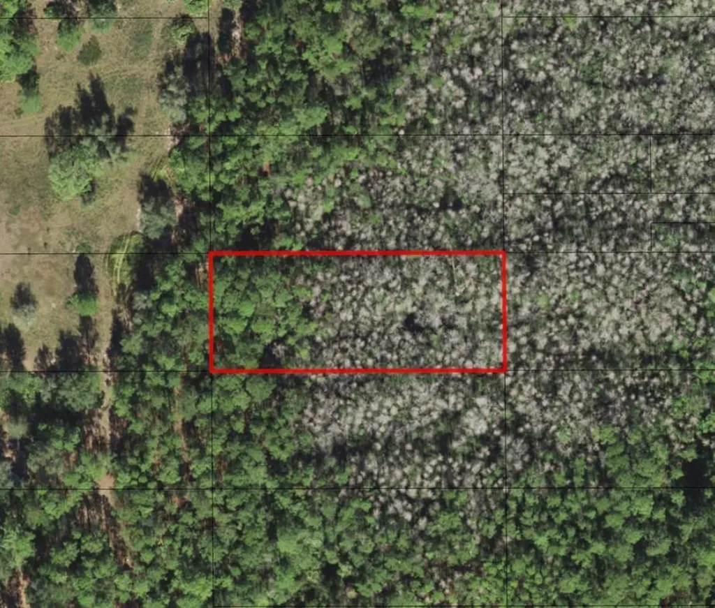 0 Old Grade Road Polk City FL 33868