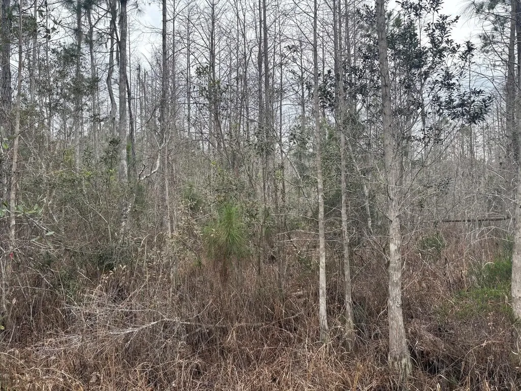 0 Old Grade Road Polk City FL 33868