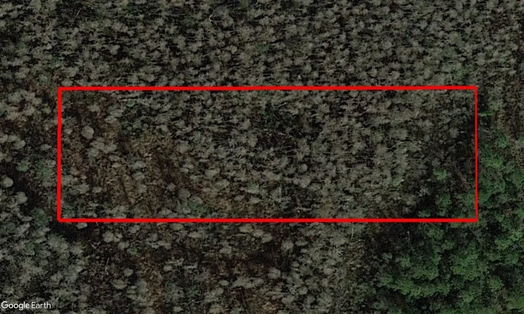 0 Old Grade Road Polk City FL 33868