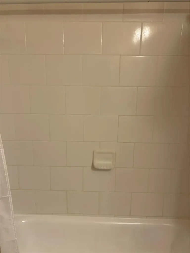 6263 NE 19th Avenue Fort Lauderdale FL 33308