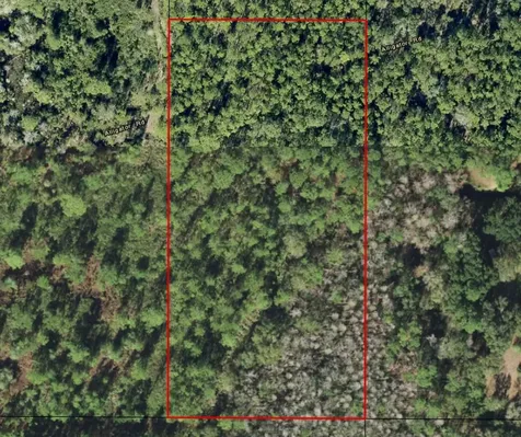 0 Alligator Road Clermont FL 33868