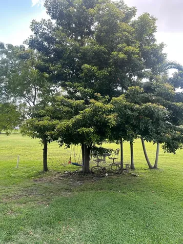 19112 W W Lake Hialeah FL 33015