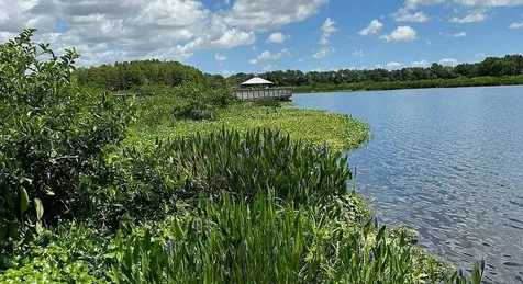 7697 Mansfield Hollow Road Delray Beach FL 33446