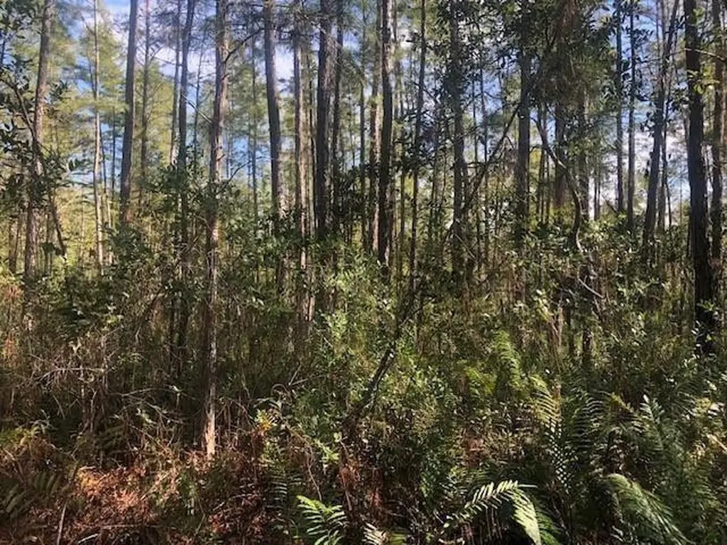 0 Old Grade Road Polk City FL 33868
