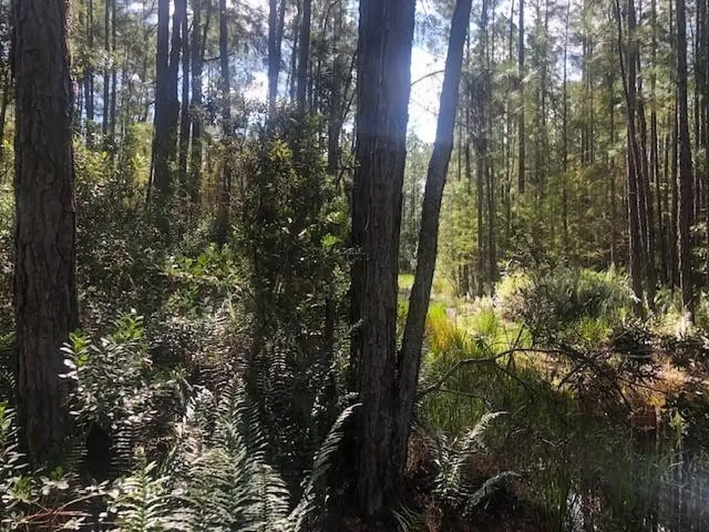 0 Old Grade Road Polk City FL 33868