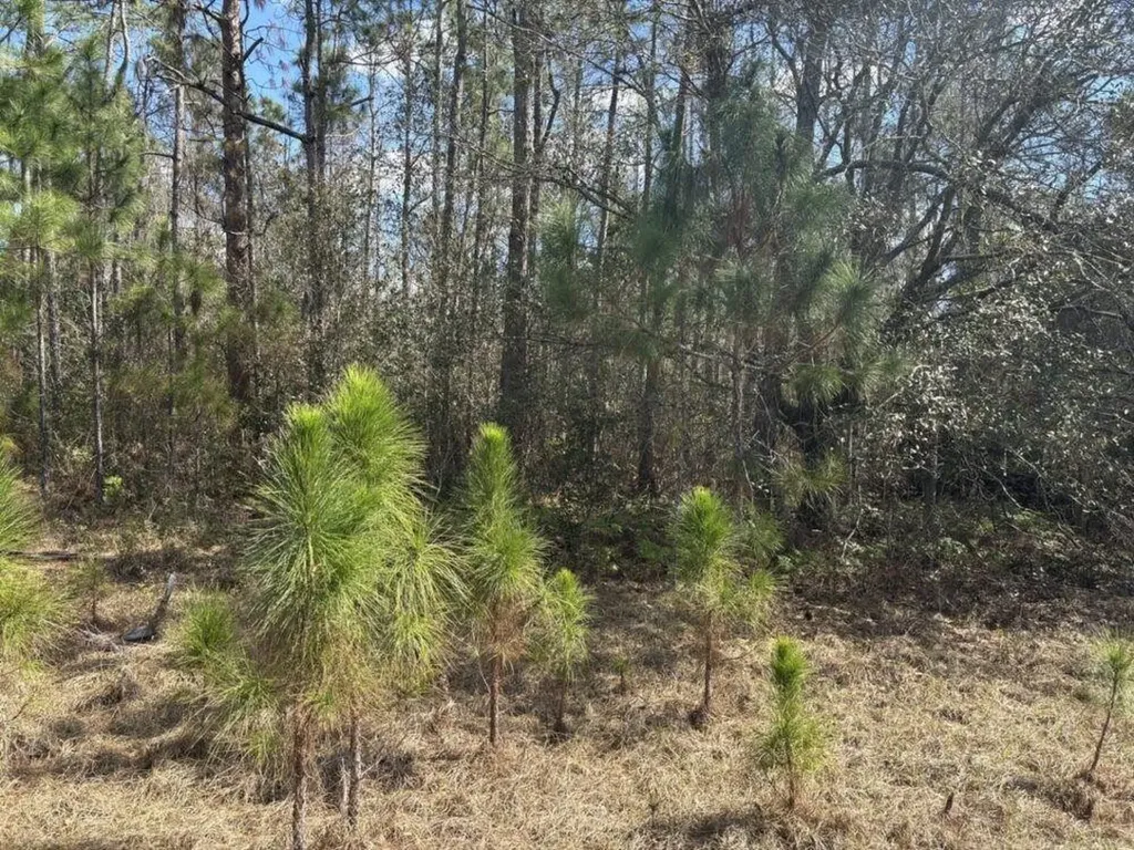 0 Old Grade Road Polk City FL 33868