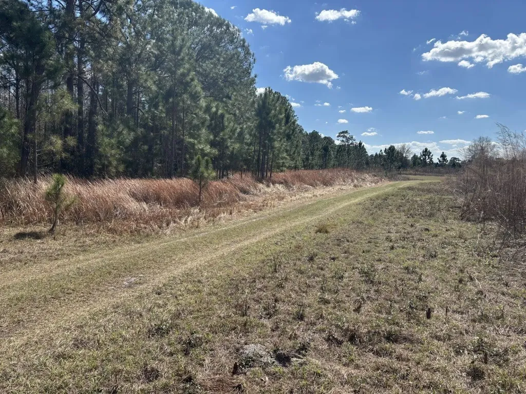 0 Old Grade Road Polk City FL 33868