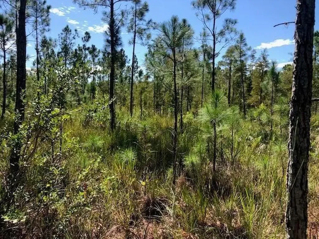 0 Old Grade Road Polk City FL 33868