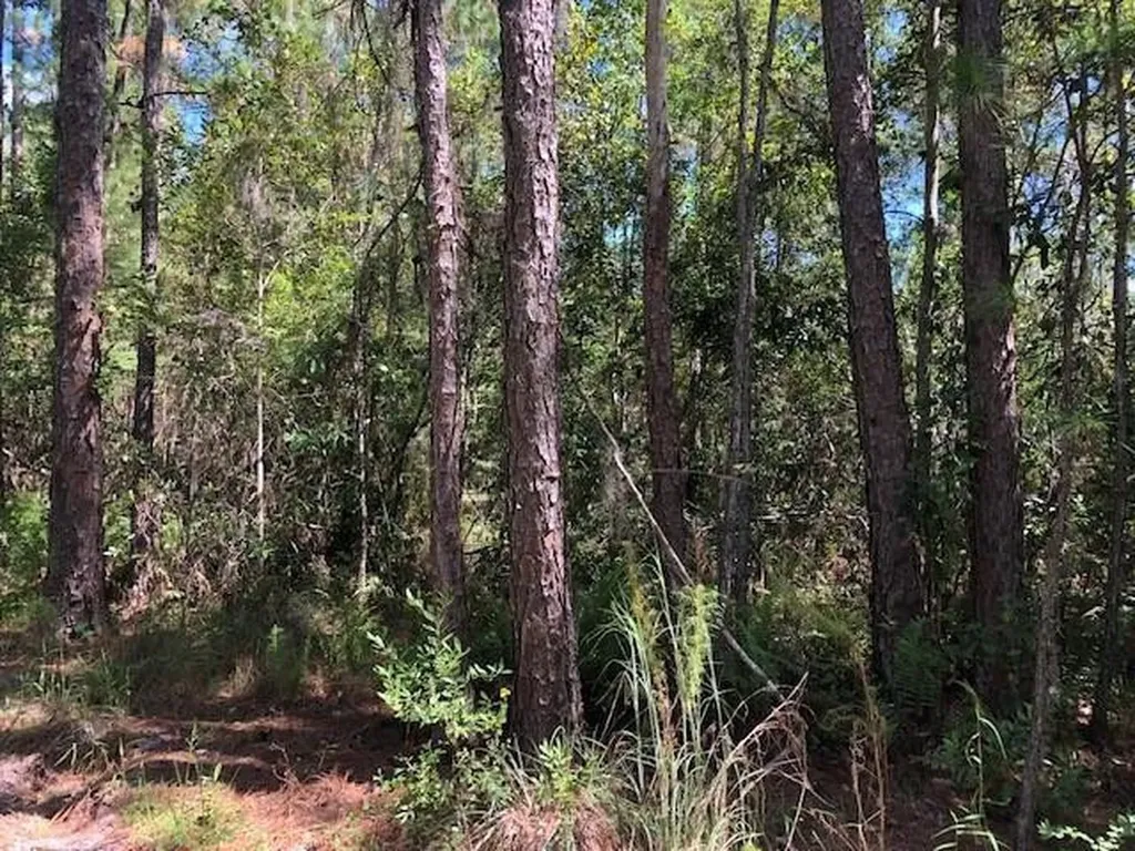 0 Old Grade Road Polk City FL 33868