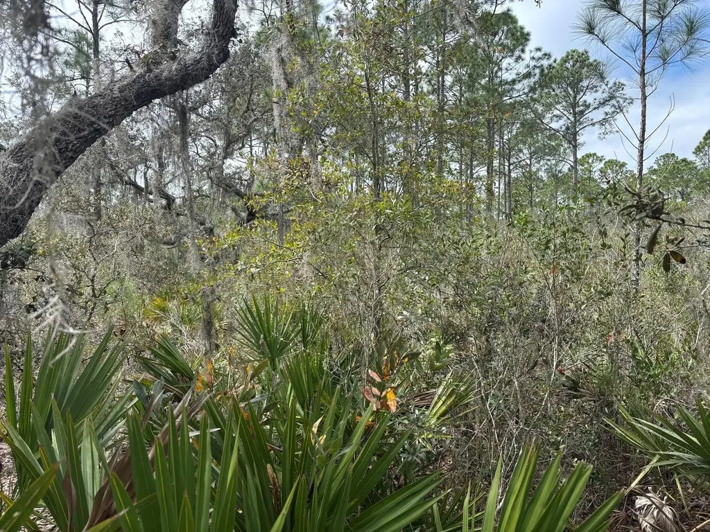 0 Old Grade Road Polk City FL 33868