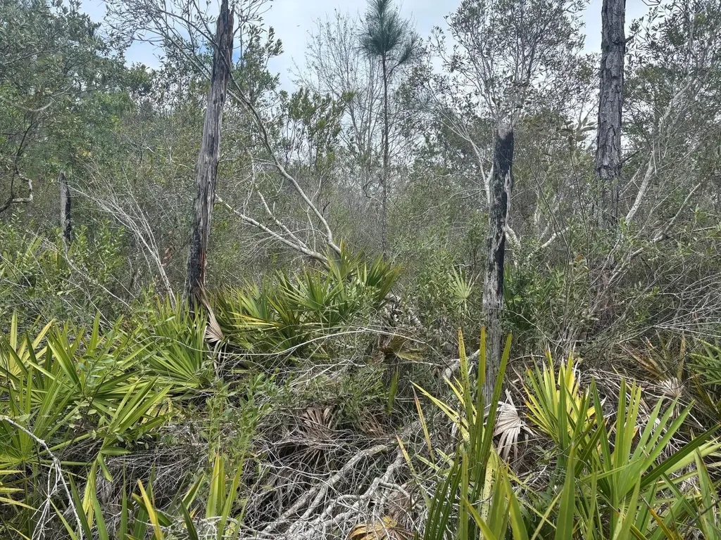 0 Old Grade Road Polk City FL 33868