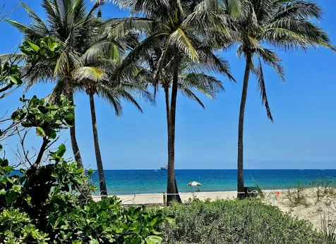 1332 Bayview Drive Fort Lauderdale FL 33304