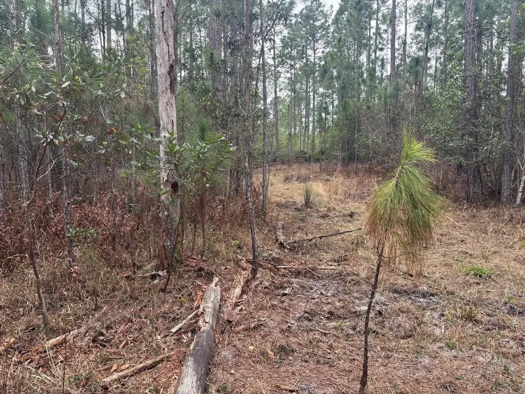 Polk City FL 33868