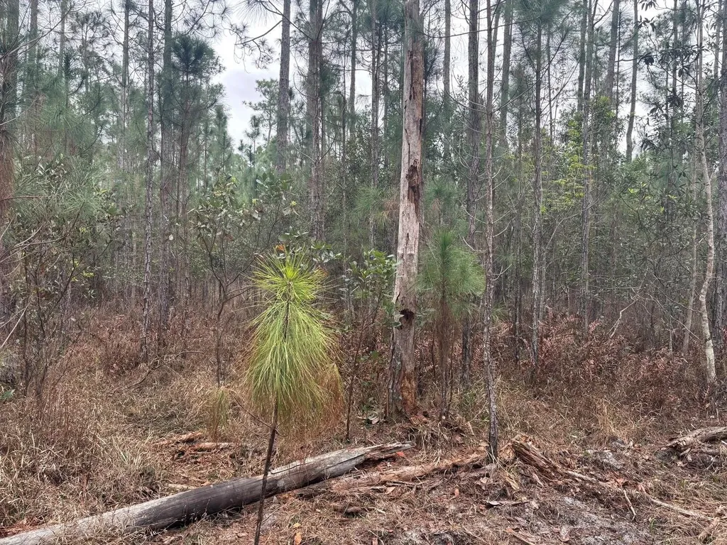 Polk City FL 33868
