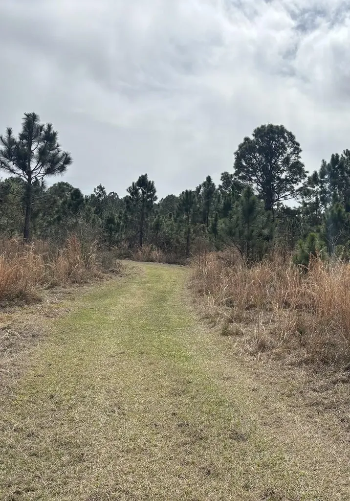 0 Old Grade Road Polk City FL 33868