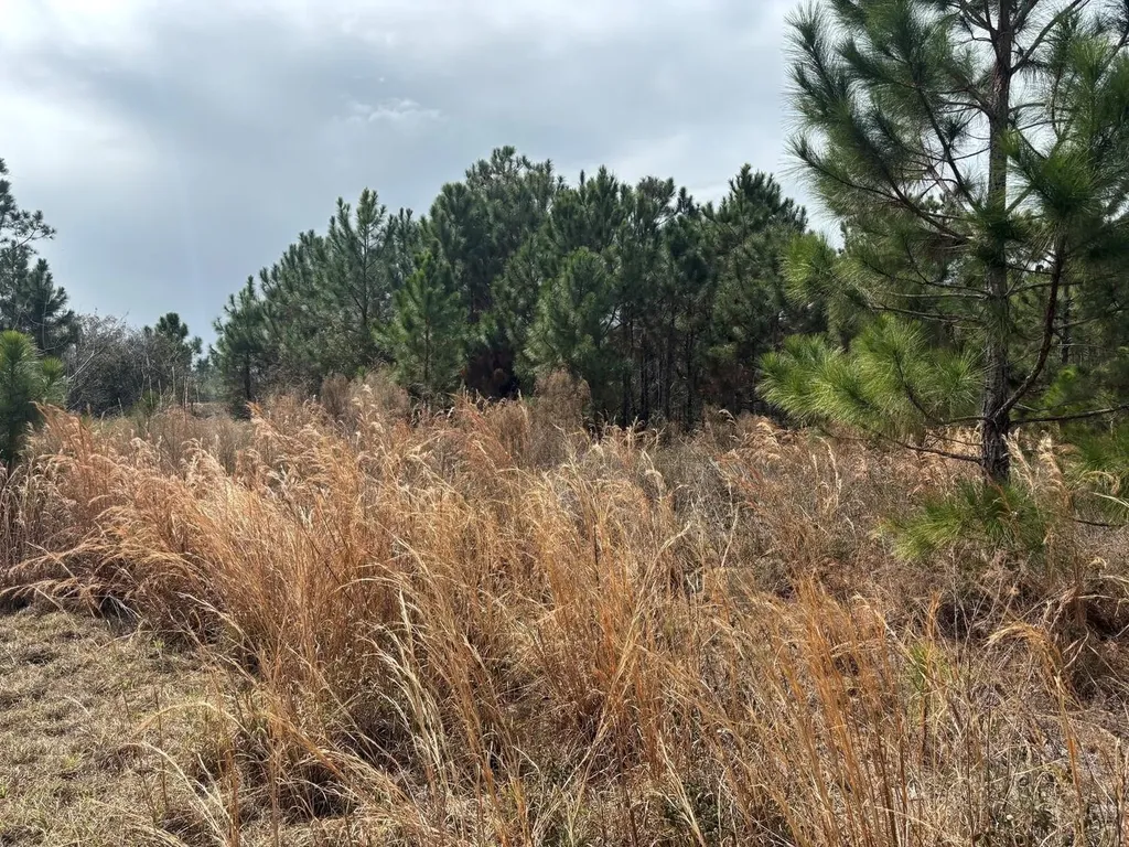 0 Old Grade Road Polk City FL 33868