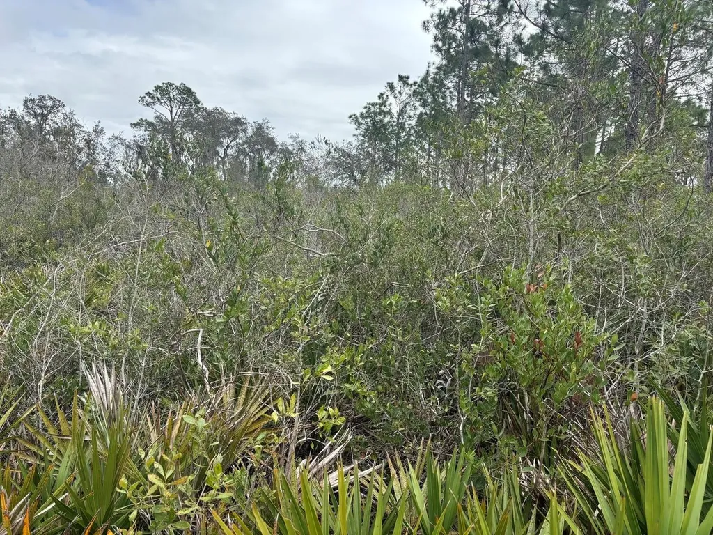 0 Old Grade Road Polk City FL 33868