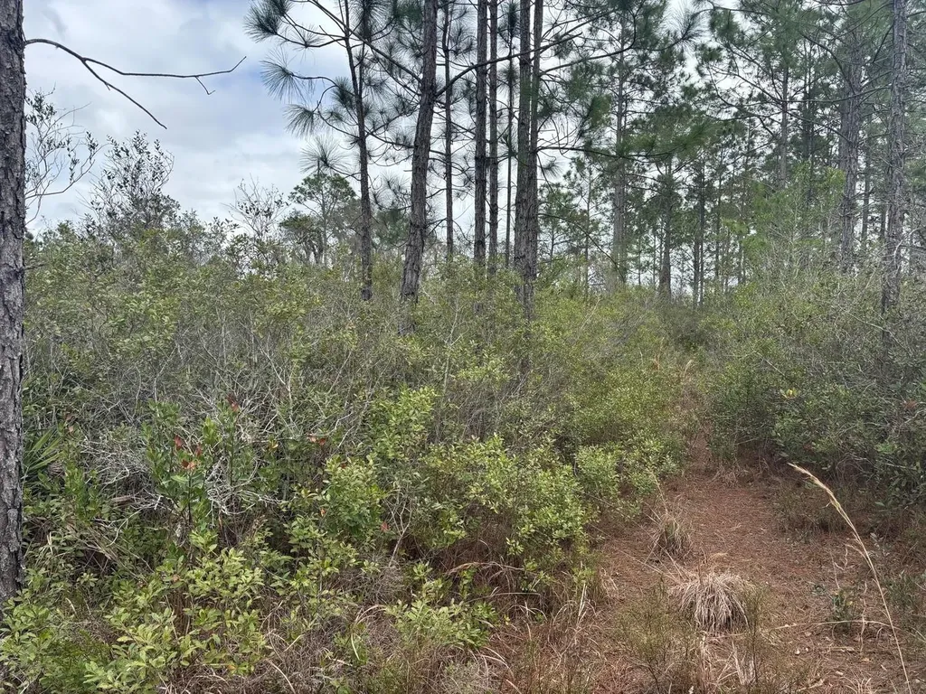 0 Old Grade Road Polk City FL 33868