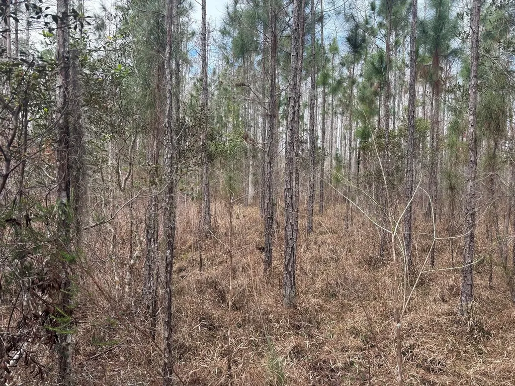 0 Old Grade Road Polk City FL 33868