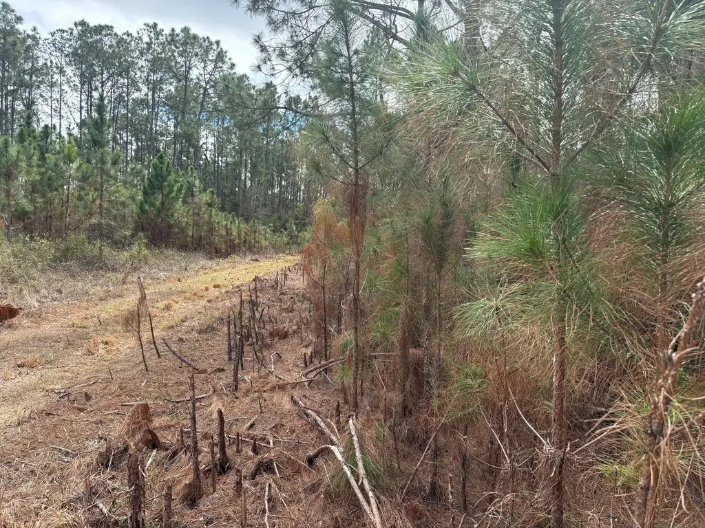 0 Old Grade Road Polk City FL 33868