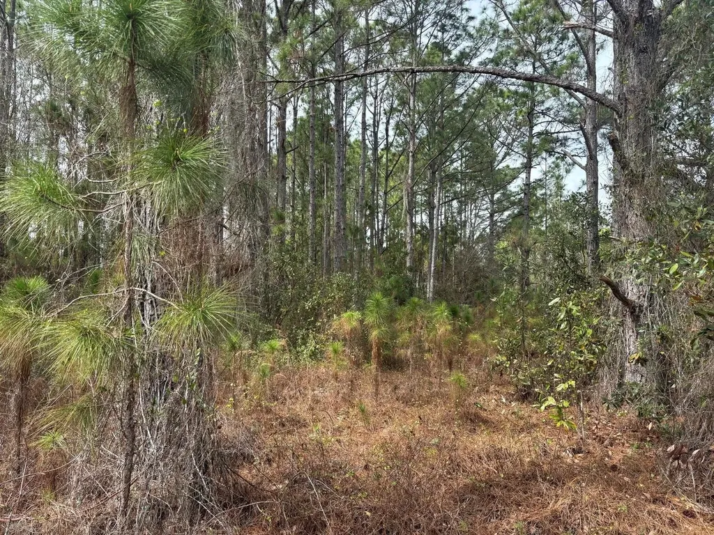 0 Old Grade Road Polk City FL 33868