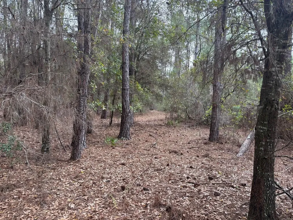 0 Old Grade Road Polk City FL 33868