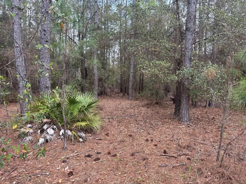 0 Old Grade Road Polk City FL 33868