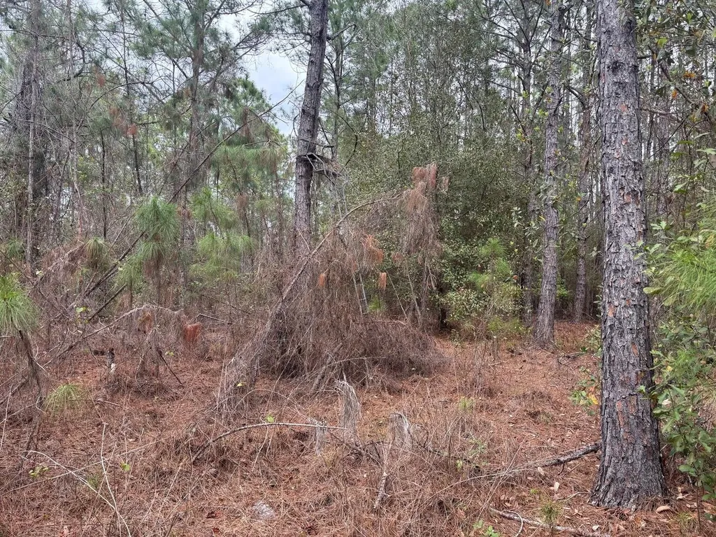 0 Old Grade Road Polk City FL 33868