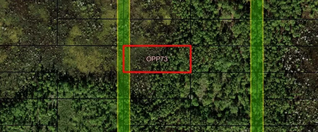 0 Old Grade Road Polk City FL 33868