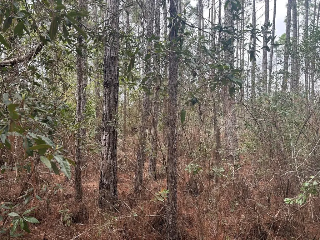 0 Old Grade Road Polk City FL 33868