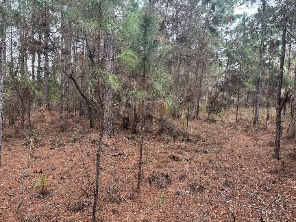 0 Old Grade Road Polk City FL 33868