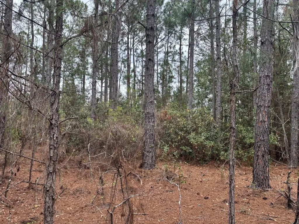 0 Old Grade Road Polk City FL 33868